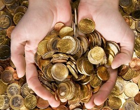 注册深圳公司卖草莓致富