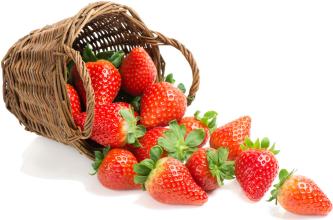 注册上海公司卖草莓致富