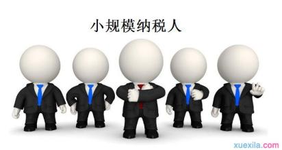 小规模纳税人网上交税和开票超额问题3