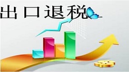 不予退税的出口货物汇总1