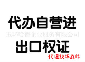 如果是内资公司，如何申请办理进出口权？