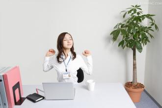 记账报税中如何申请0报税做到无风险？