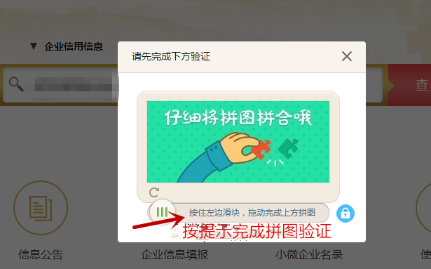 输入“国家企业信用信息公示系统”字样3