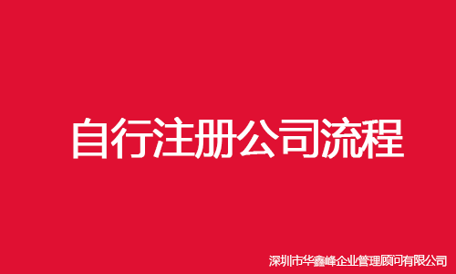 自行注册公司的流程