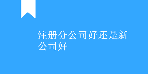 注册分公司好还是新公司好