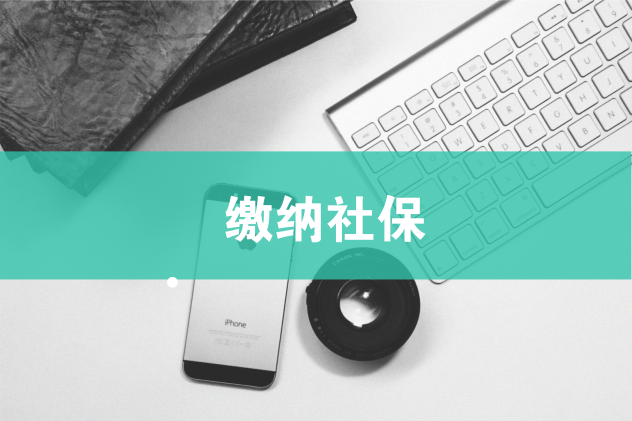 2019年起所有公司都必须缴纳社保吗? 2019年起所有公司都必须缴纳社保吗?